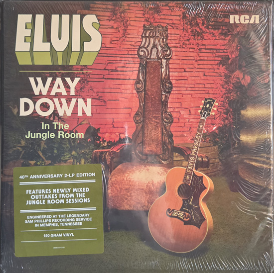 Capa - Way Down In The Jungle Room