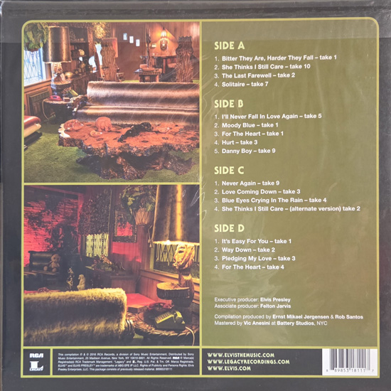 Contra Capa - Way Down In The Jungle Room