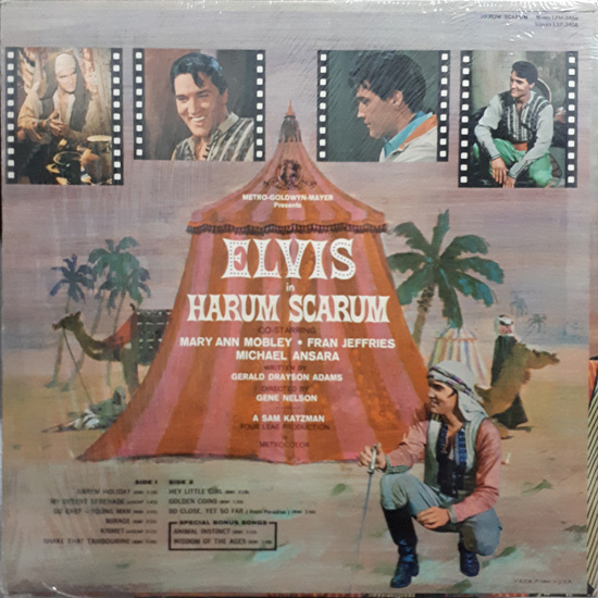 Contra Capa - Harum Scarum