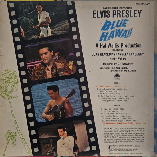 Contra Capa - Blue Hawaii