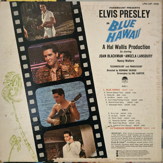 Contra Capa - Blue Hawaii