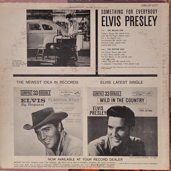 Contra Capa - Something For Everyboddy