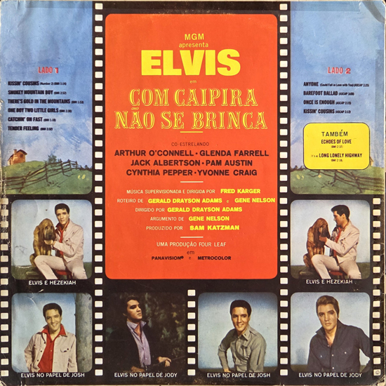 Contra Capa - Com Caipira Não se Brinca