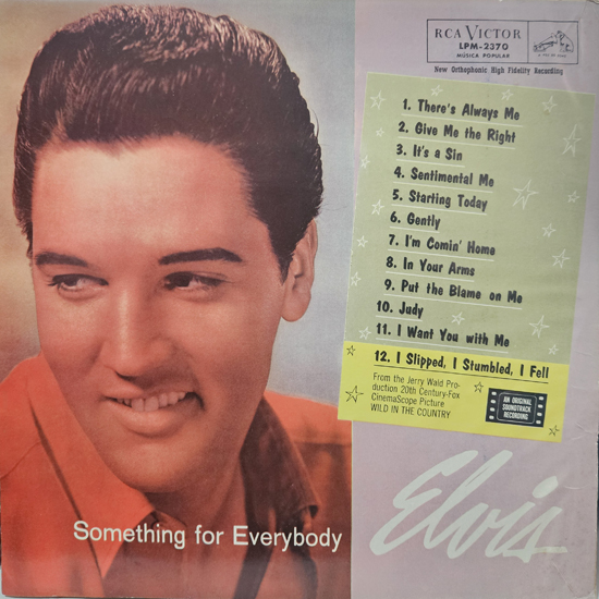 Capa - Something For Everyboddy