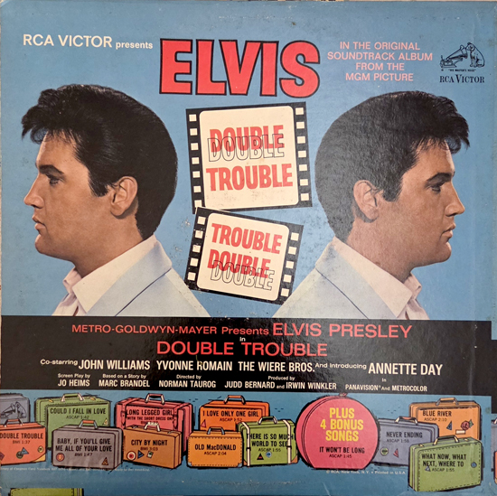 Contra Capa - Double Trouble