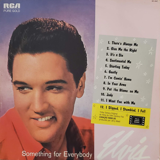 Capa - Something For Everyboddy