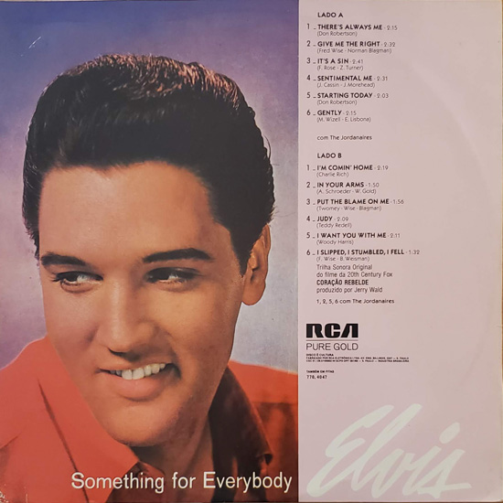 Contra Capa - Something For Everyboddy