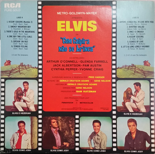 Contra Capa - Com Caipira Não se Brinca