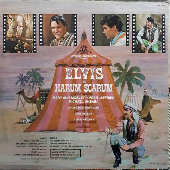 Contra Capa - Harum Scarum