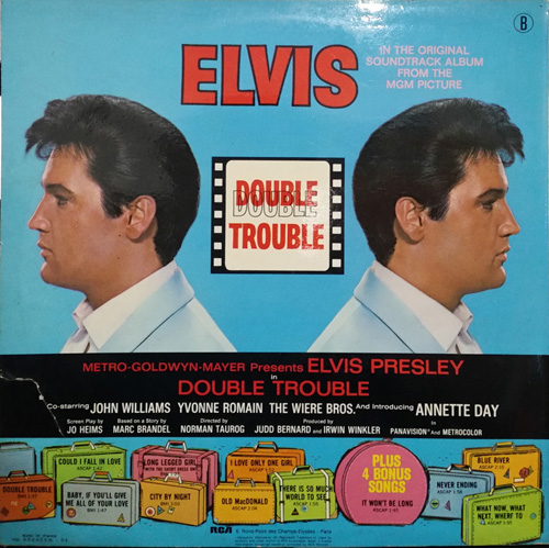 Contra Capa - Double Trouble