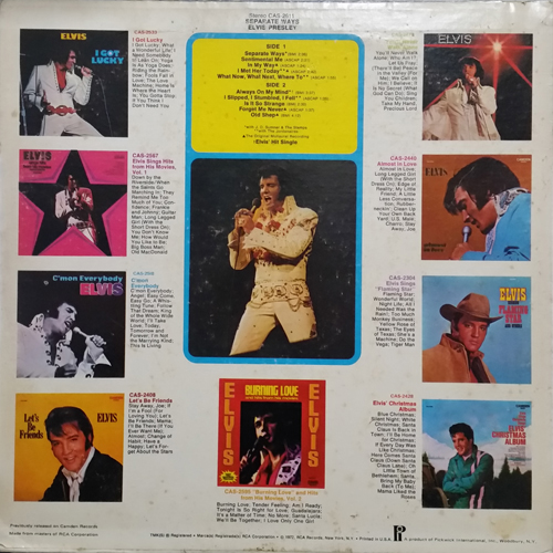 Contra Capa - Separate Ways